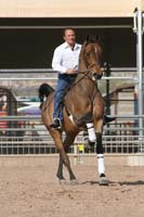 1102SAS_0397