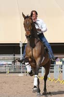 1102SAS_0398