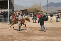 1102SAS_0398A
