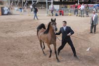1102SAS_0398E