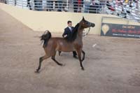 1102SAS_0398F