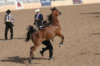 1102SAS_0399