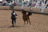 1102SAS_0401