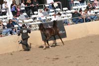 1102SAS_0402