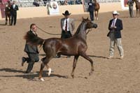 1102SAS_0405