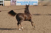 1102SAS_0406
