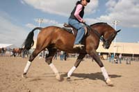 1102SAS_0406A