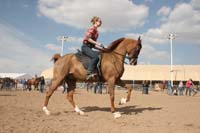 1102SAS_0406B