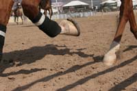 1102SAS_0406D
