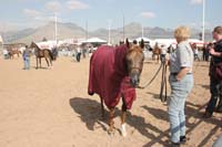 1102SAS_0406E