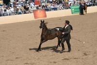1102SAS_0410
