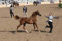 1102SAS_0412