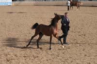 1102SAS_0416