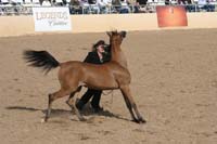 1102SAS_0420
