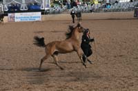 1102SAS_0421