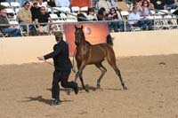 1102SAS_0423