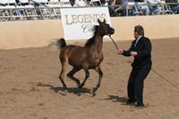 1102SAS_0424