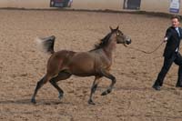 1102SAS_0425