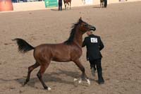 1102SAS_0426
