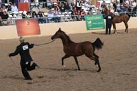 1102SAS_0427