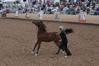 1102SAS_0429