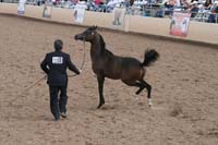 1102SAS_0433