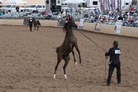 1102SAS_0434