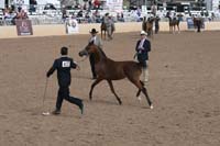 1102SAS_0439