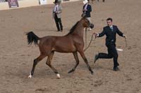 1102SAS_0440
