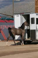 1102SAS_0444