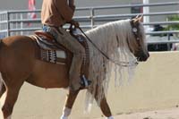 1102SAS_0445