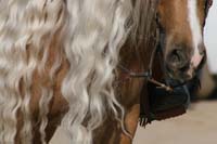 1102SAS_0446