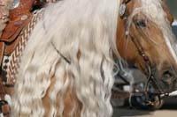 1102SAS_0447