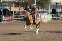 1102SAS_0453