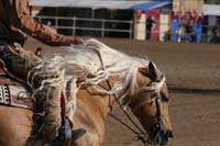 1102SAS_0459