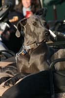 1102SAS_0463