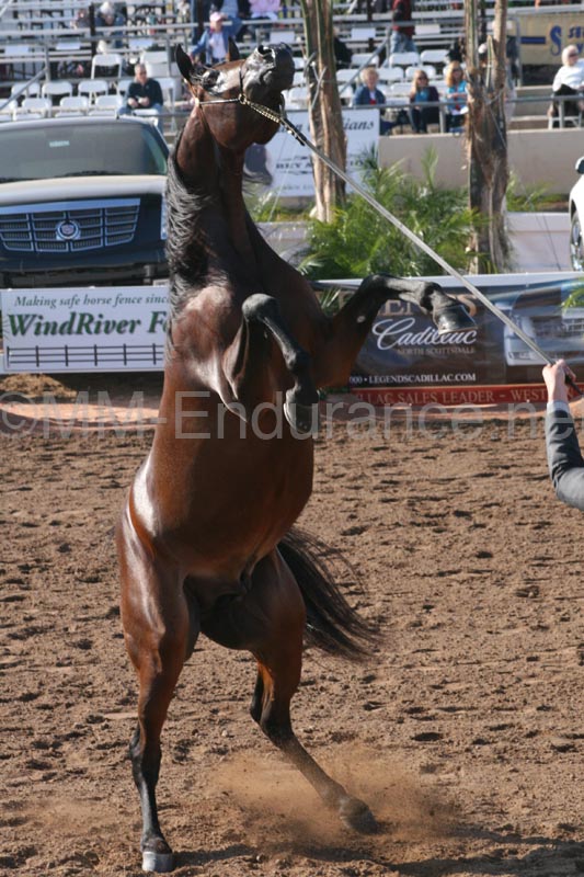 1102SAS_0472