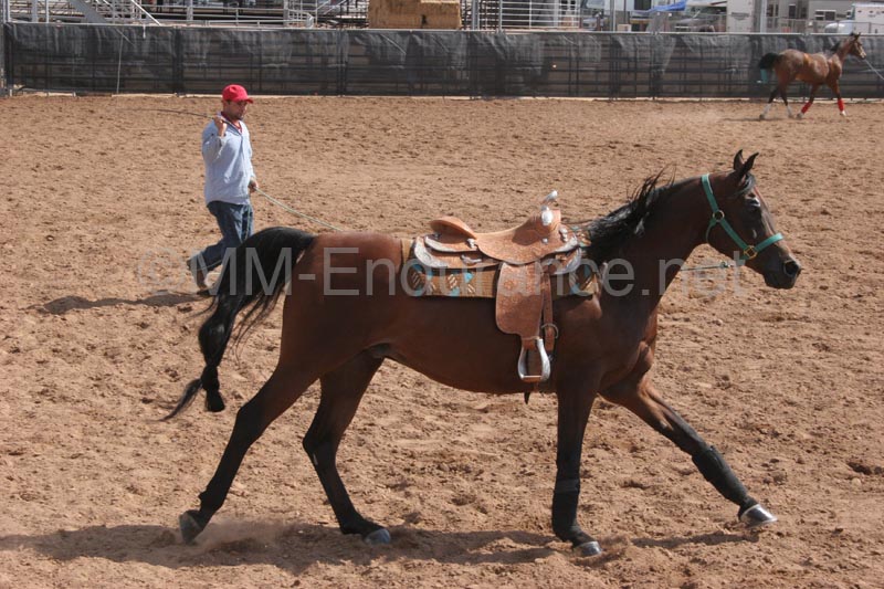 1102SAS_0495B