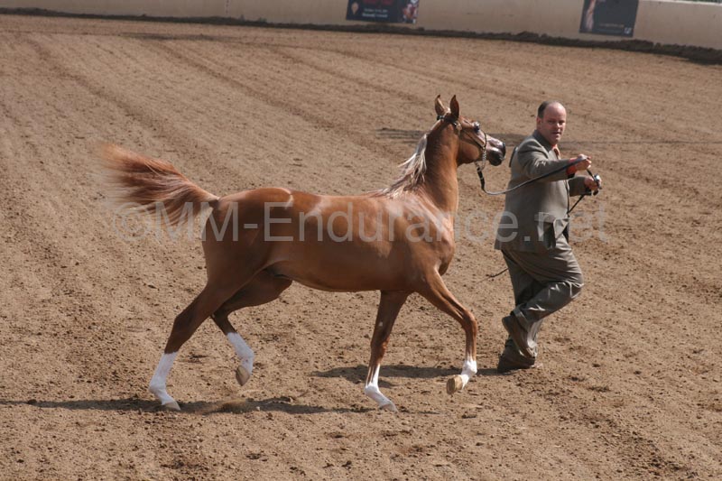 1102SAS_0504