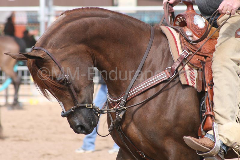 1102SAS_0511