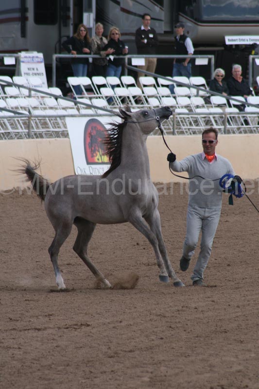 1102SAS_0514