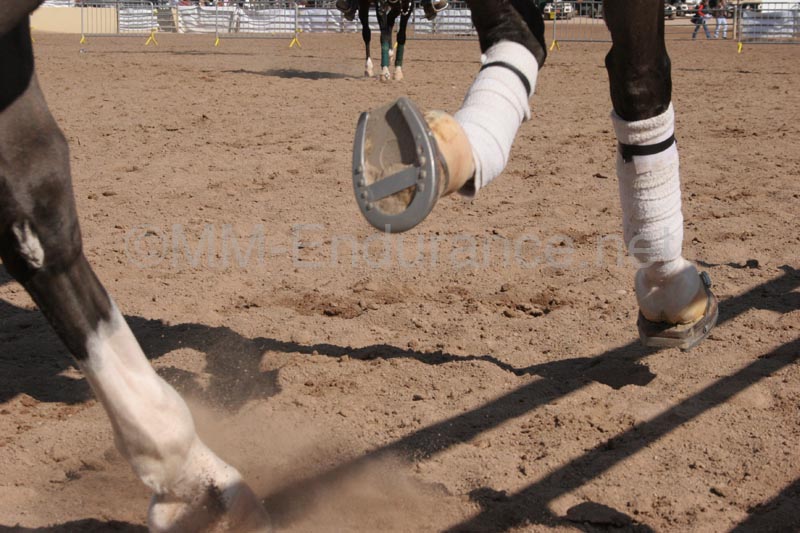 1102SAS_0535A