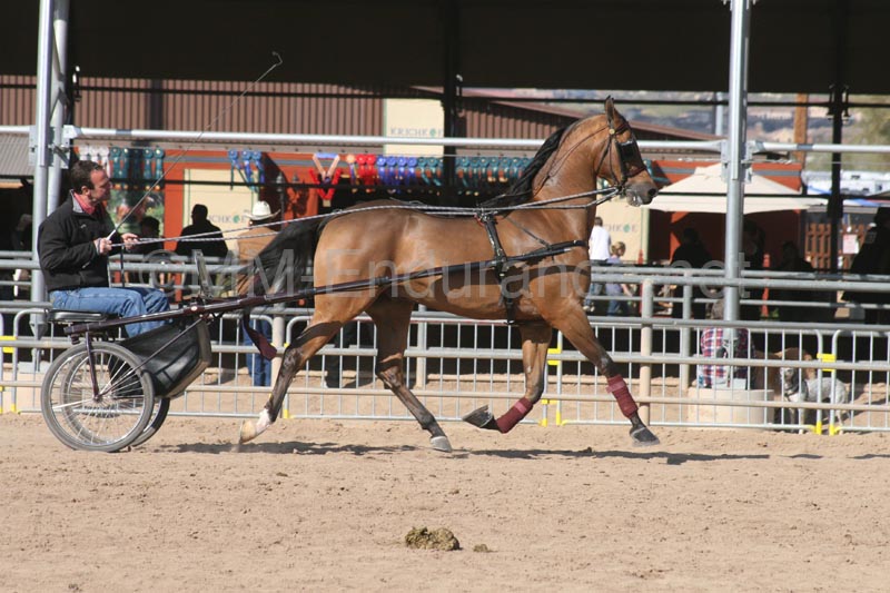 1102SAS_0538