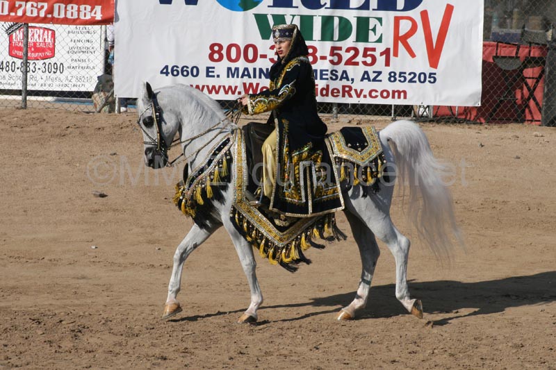 1102SAS_0546
