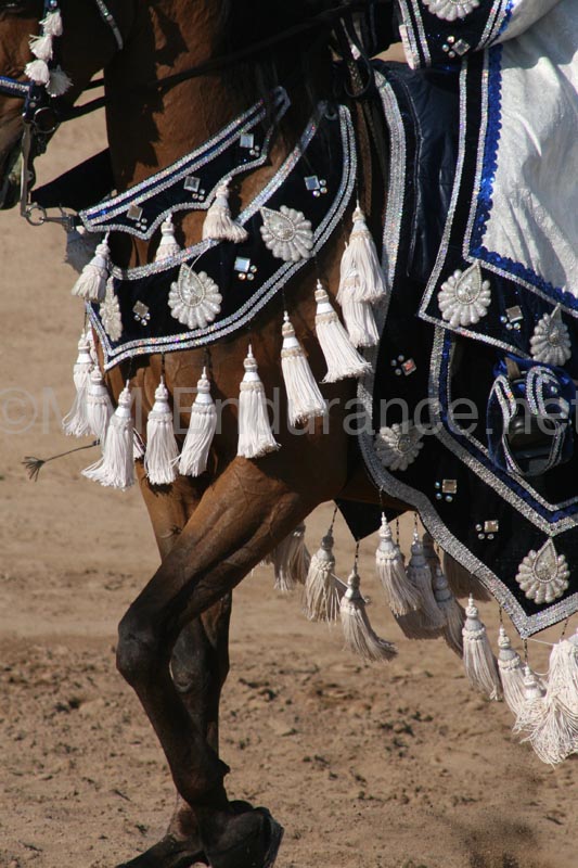 1102SAS_0551