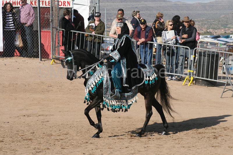 1102SAS_0556