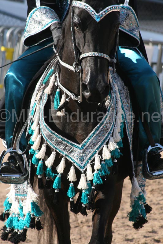 1102SAS_0557