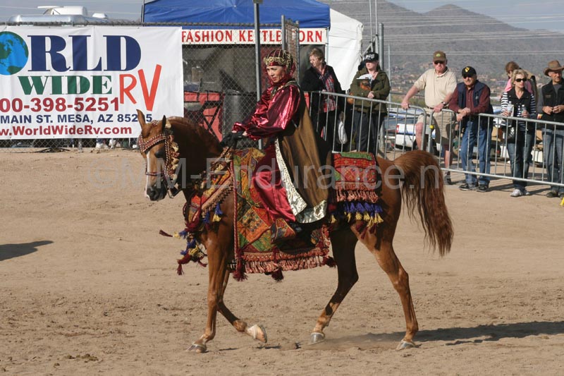 1102SAS_0563