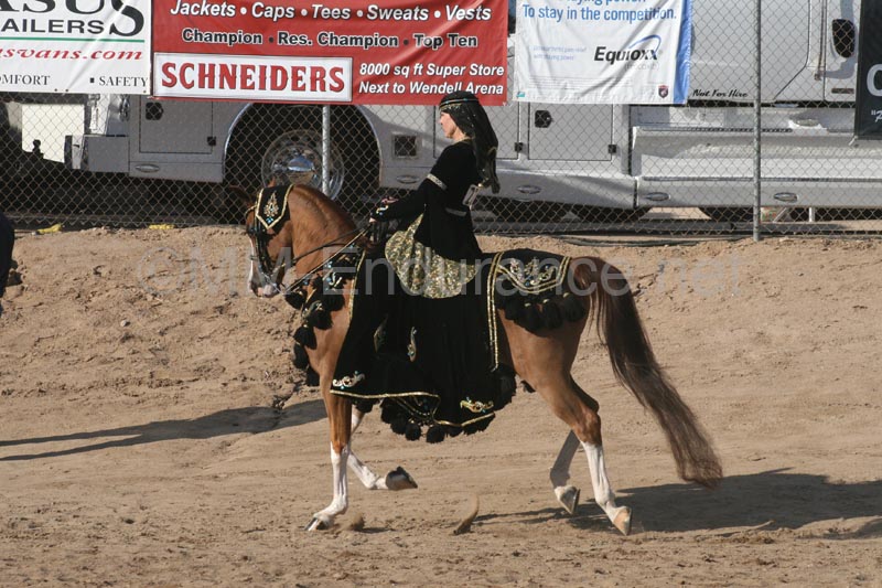 1102SAS_0564