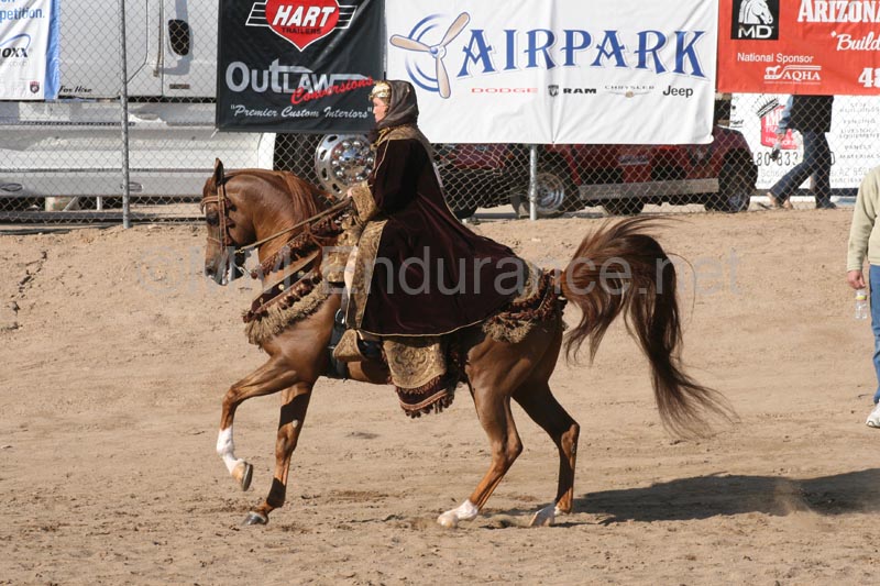 1102SAS_0566